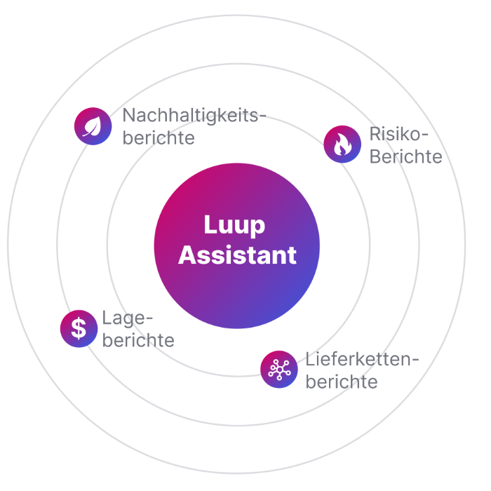 Image Explanaition Luup Assistant
